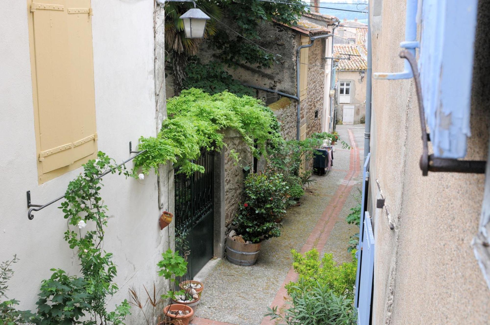 Maison Rives - Village Du Livre De Montolieu Esterno foto